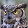 Profilbild von M.K.