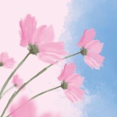 クランケ高島's profile picture