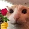 Dickachu's profile picture
