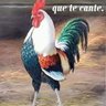 Profilbild von Español euskaldun