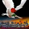 محمود عاصي's profile picture