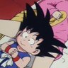 gros bouffeur de salade's profile picture