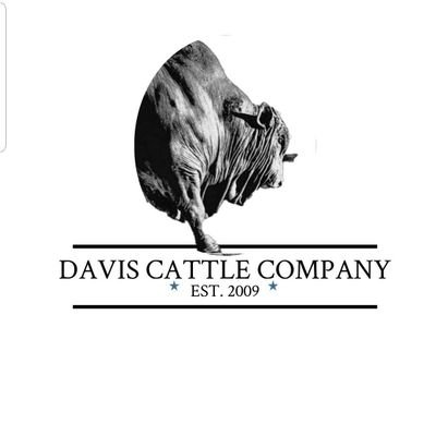 cattle_davis's profile picture