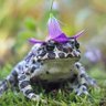 Profilbild von Dragoon