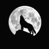 Profilbild von … ..