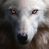 Wolf Queen Nikki 🏳️‍⚧️🇺🇦 profil fotoğrafı