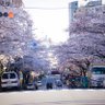 だり。/コンテンツ開拓者 的头像