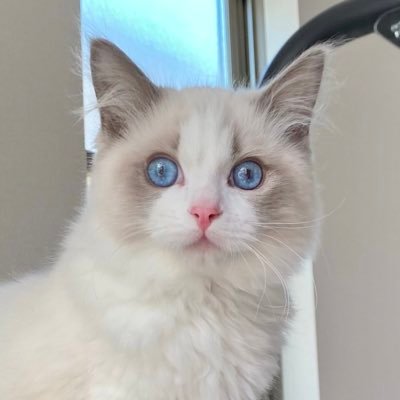 LUCA_10_24's profile picture