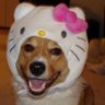magu*2's profile picture
