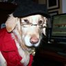 Profilbild von Betsy Golden