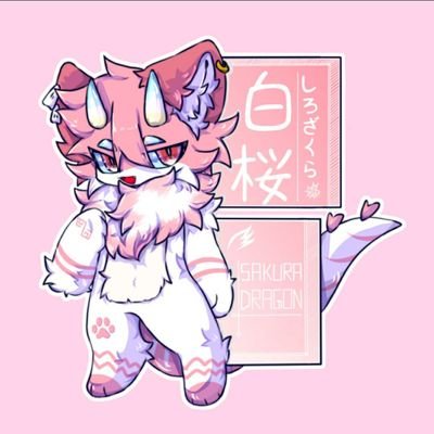 NikubankiSakura's profile picture