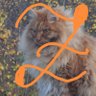 Вадим's profile picture