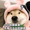 GejjDashu 的头像