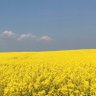 Фото профиля Hans Ohlow