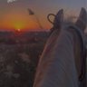 نورة's profile picture