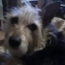 Profilbild von Marion