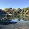 yazakura_yuki 的头像