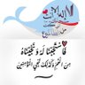 Alam Eldein Elzubair's profile picture