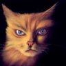 Felis Catus's profile picture