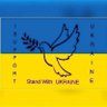 Glory to Ukraine profil fotoğrafı
