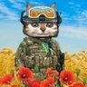Wandering cat's profile picture