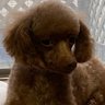 やっさん's profile picture