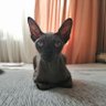 Netty profil fotoğrafı