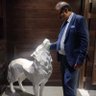 Profilbild von Raheal Anjum