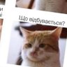Yar profil fotoğrafı