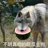 jdd profil fotoğrafı