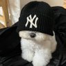 jay ⭐️ profil fotoğrafı