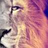 Profilbild von صالح