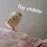 Фото профиля toy chiquito