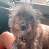 CANDY's profile picture