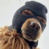 xinchen's profile picture