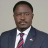 Hon. George Peter Kaluma, CBS. MP. (Commentaries) 的头像