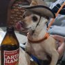 ml's profile picture