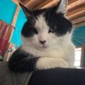 Artzf's profile picture