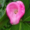 Фото профиля こんにちは