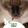 Д.Крузое profil fotoğrafı