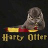 Harry Otter 🇵🇱 profil fotoğrafı