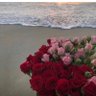 صُـدفة's profile picture