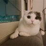 ehehe 的头像