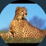 77's profile picture