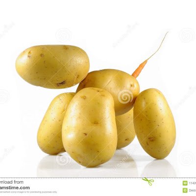 MartijnLammie's profile picture
