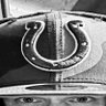 Profilbild von Big Al