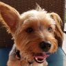 Profilbild von Holly Theisges