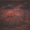 Фото профиля نصر الدين نويصر