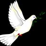Rabiller Alain's profile picture