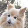 Eine Person's profile picture